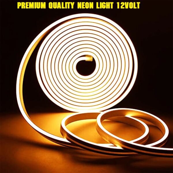 neon roll